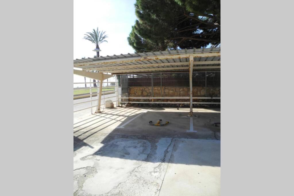 New! Modern Apartment Right On The Beach! Miami Platja  Exterior foto